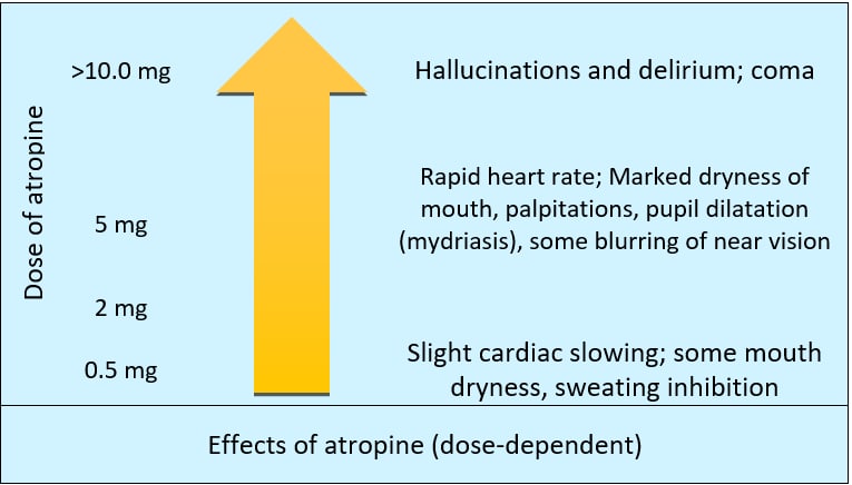 effects of atropine (dose dependent)