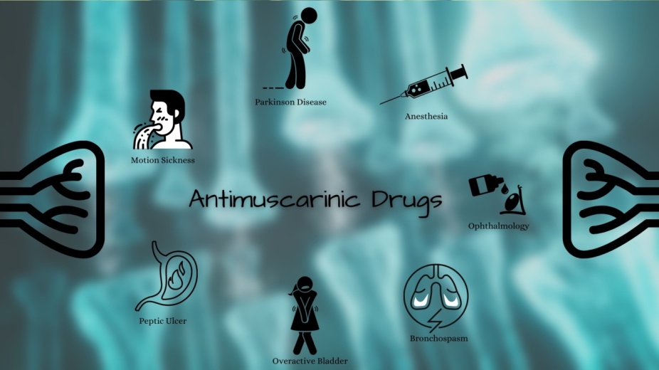 The Most Common Antimuscarinic Drugs