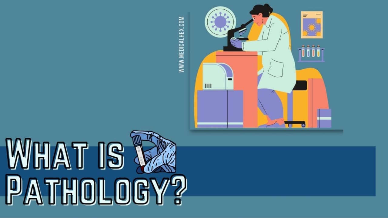 What is pathology?