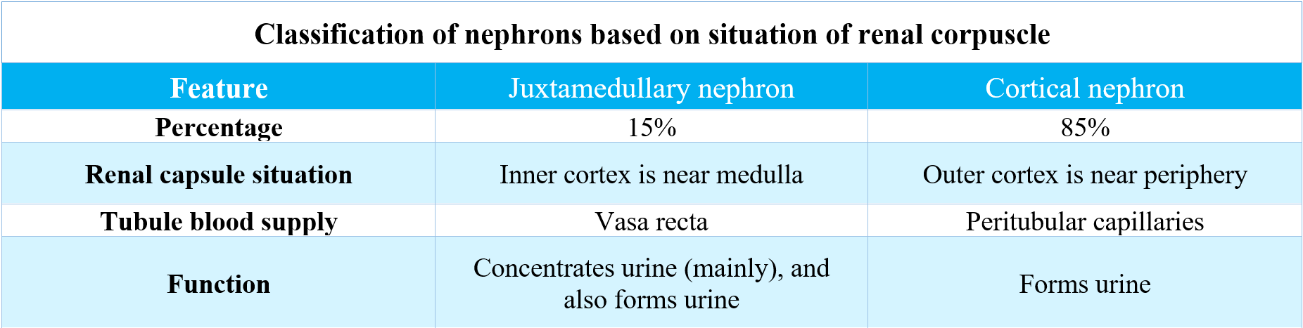 Classification of nephrons based on situation of renal corpuscle