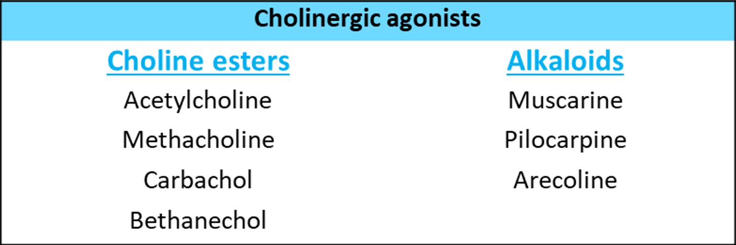 reversible indirect acting cholinergic agonists