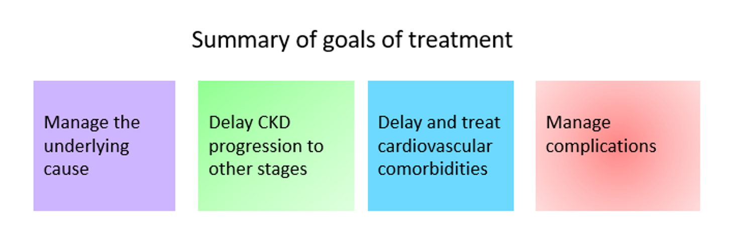 summary of goals of treatment ckd